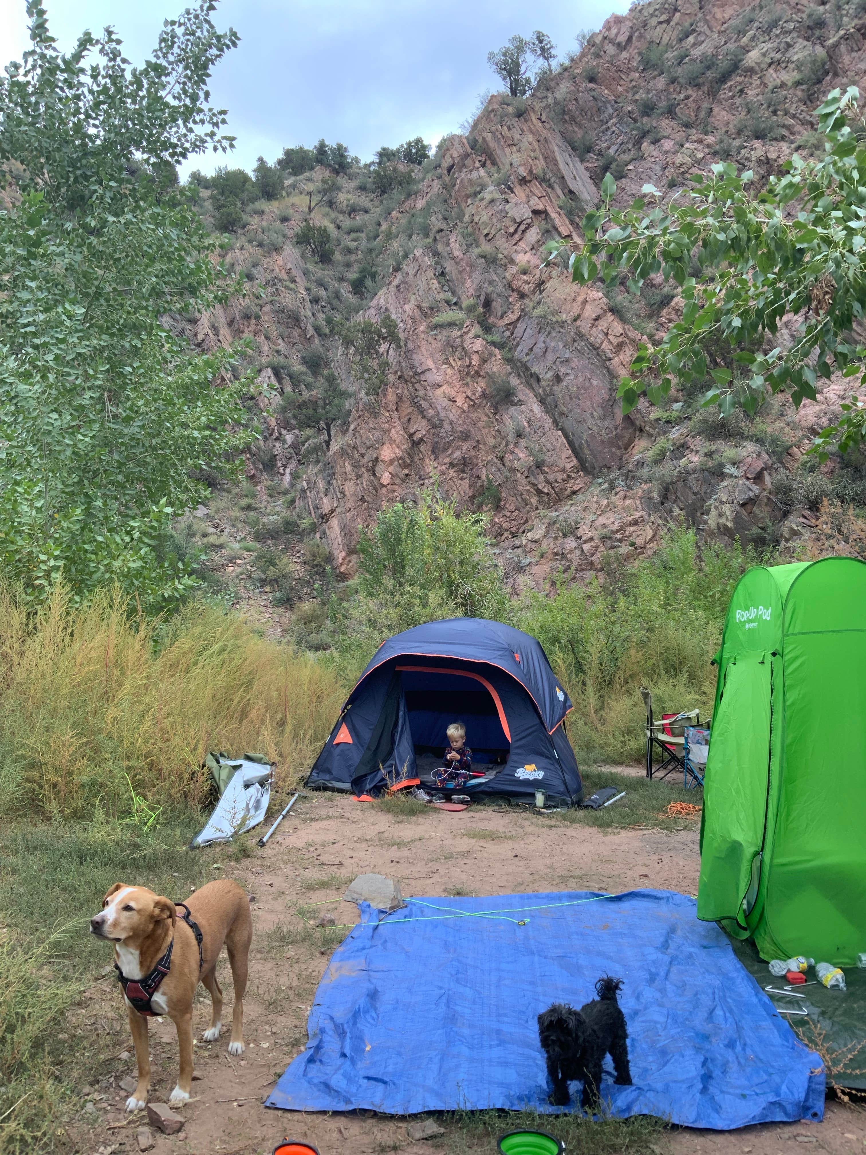 Sabrina G.'s photo of camping with pets at Phantom Canyon Road BLM Sites near Cañon City, CO