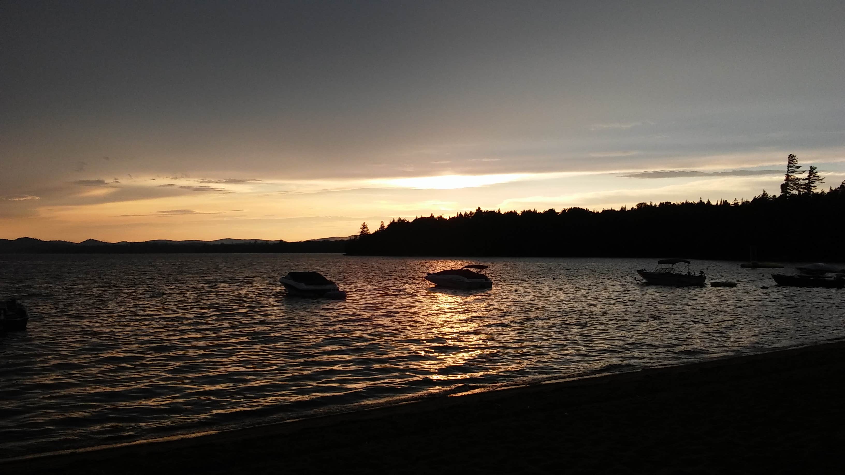 View All
