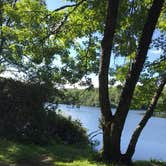 Review photo of Julian Price Park Campground — Blue Ridge Parkway by Danielle L., September 3, 2018