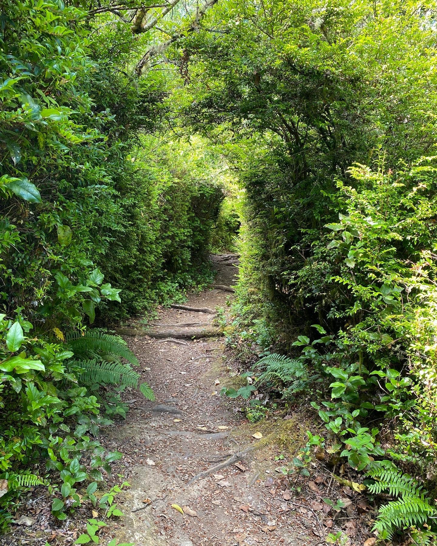 Camper-submitted photo at Lakebay Getaway near Gig Harbor, WA