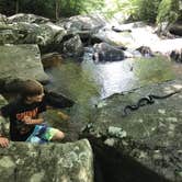 Review photo of Julian Price Park Campground — Blue Ridge Parkway by Danielle L., September 3, 2018