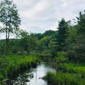 Review photo of Julian Price Park Campground — Blue Ridge Parkway by Danielle L., September 3, 2018