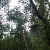 Review photo of Cave Springs by Jacob W., September 3, 2018