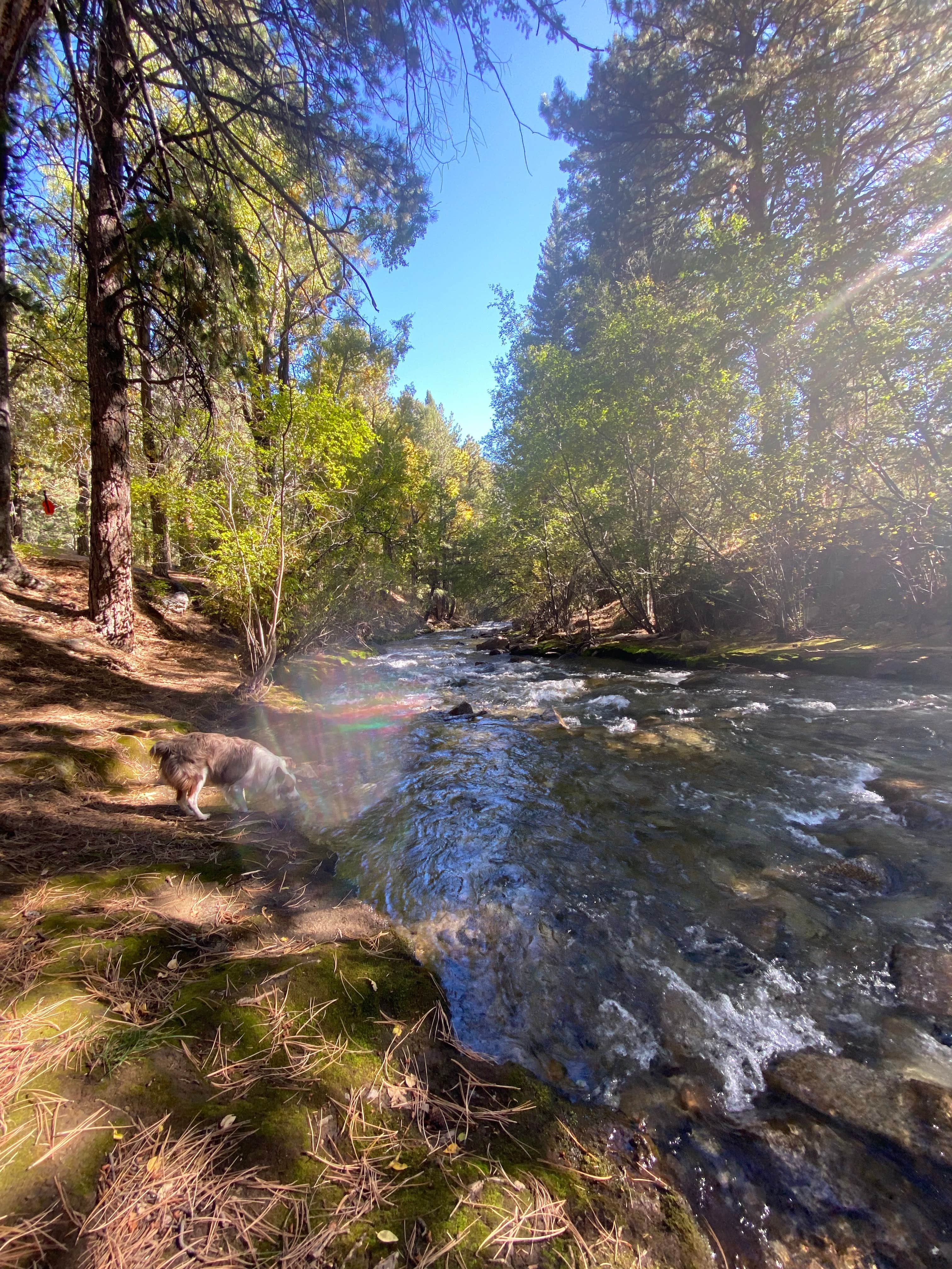 Camper submitted image from San Isabel National Forest Chalk Lake Campground - 2