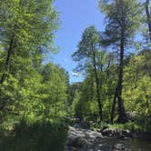Review photo of Cave Springs by Jacob W., September 3, 2018