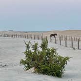 Review photo of Bayside Assateague Campground — Assateague Island National Seashore by T $., September 26, 2022