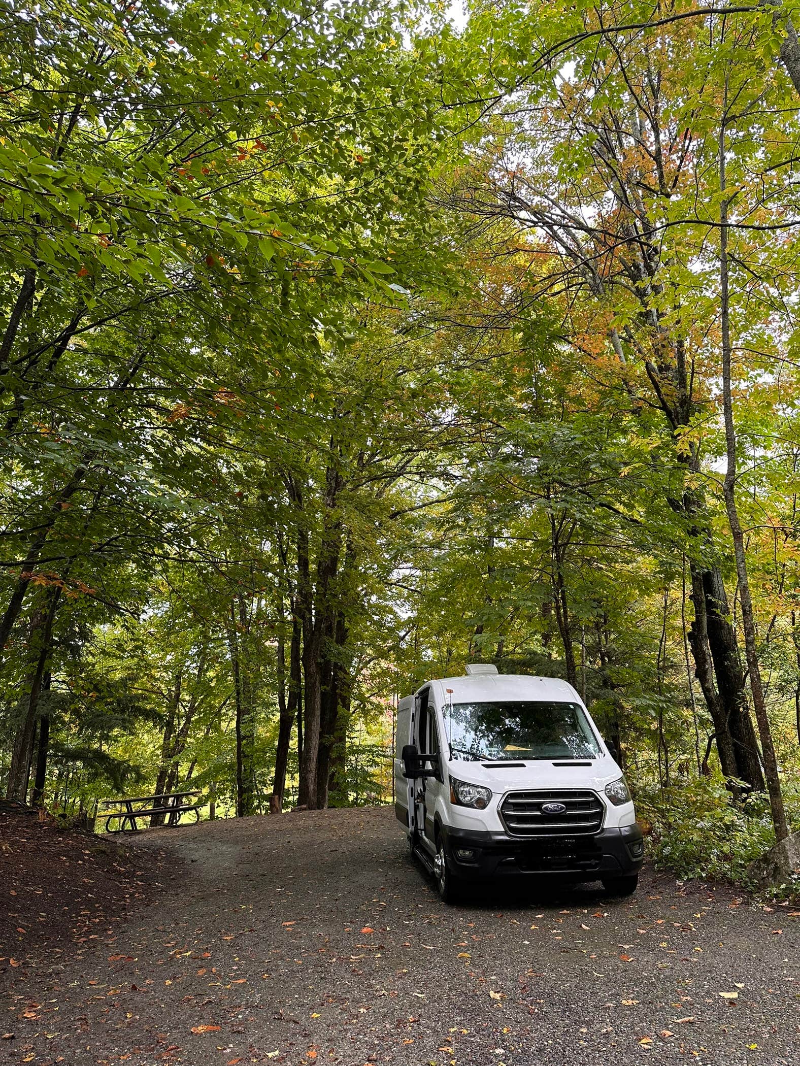 Camper submitted image from Hapgood Pond NF Campground - 2
