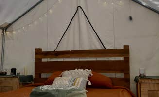 The Dyrt's photo at Tentrr Signature Site - Artemis, Cozy Tent in the Redwoods, Pure Gold near Felton, CA