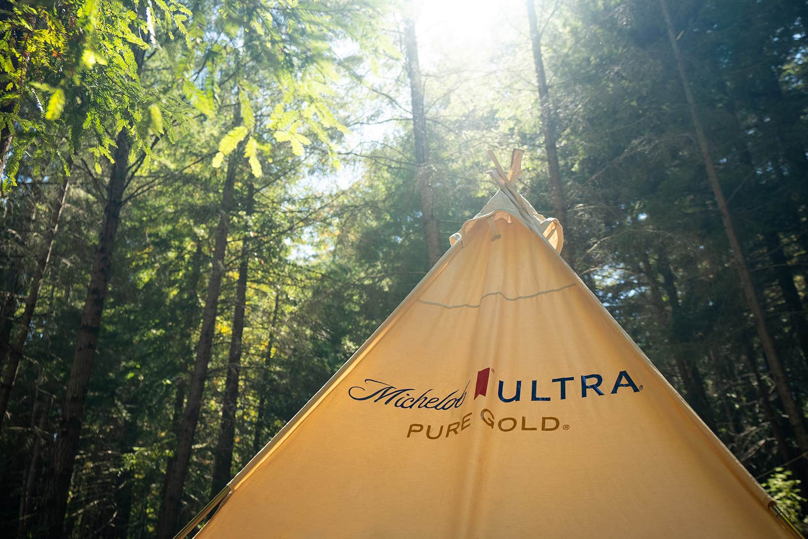 The Dyrt's photo at Tentrr Signature Site - Artemis, Cozy Tent in the Redwoods, Pure Gold near Soquel, CA