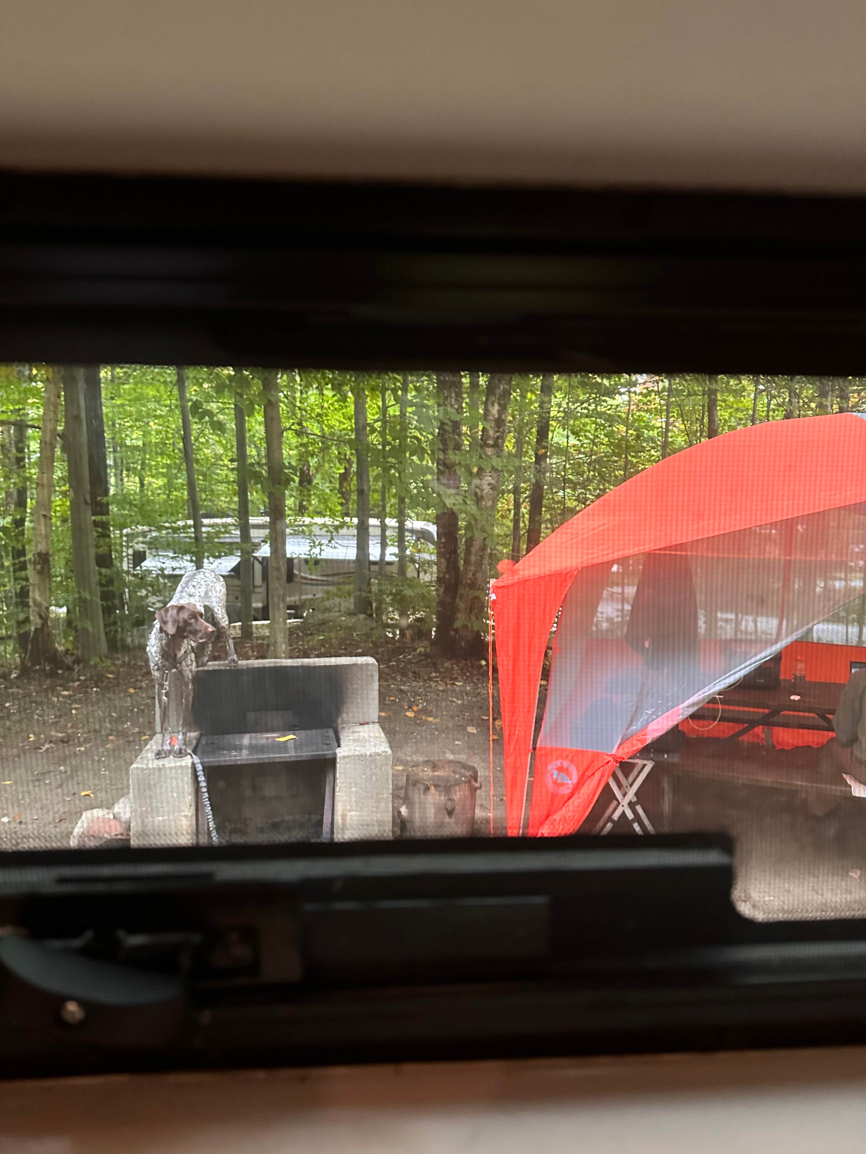 Katy Z.'s photo at Gifford Woods State Park Campground near Green Mountain National Forest