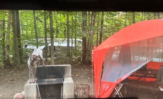 Katy Z.'s photo at Gifford Woods State Park Campground near North Chittenden, VT