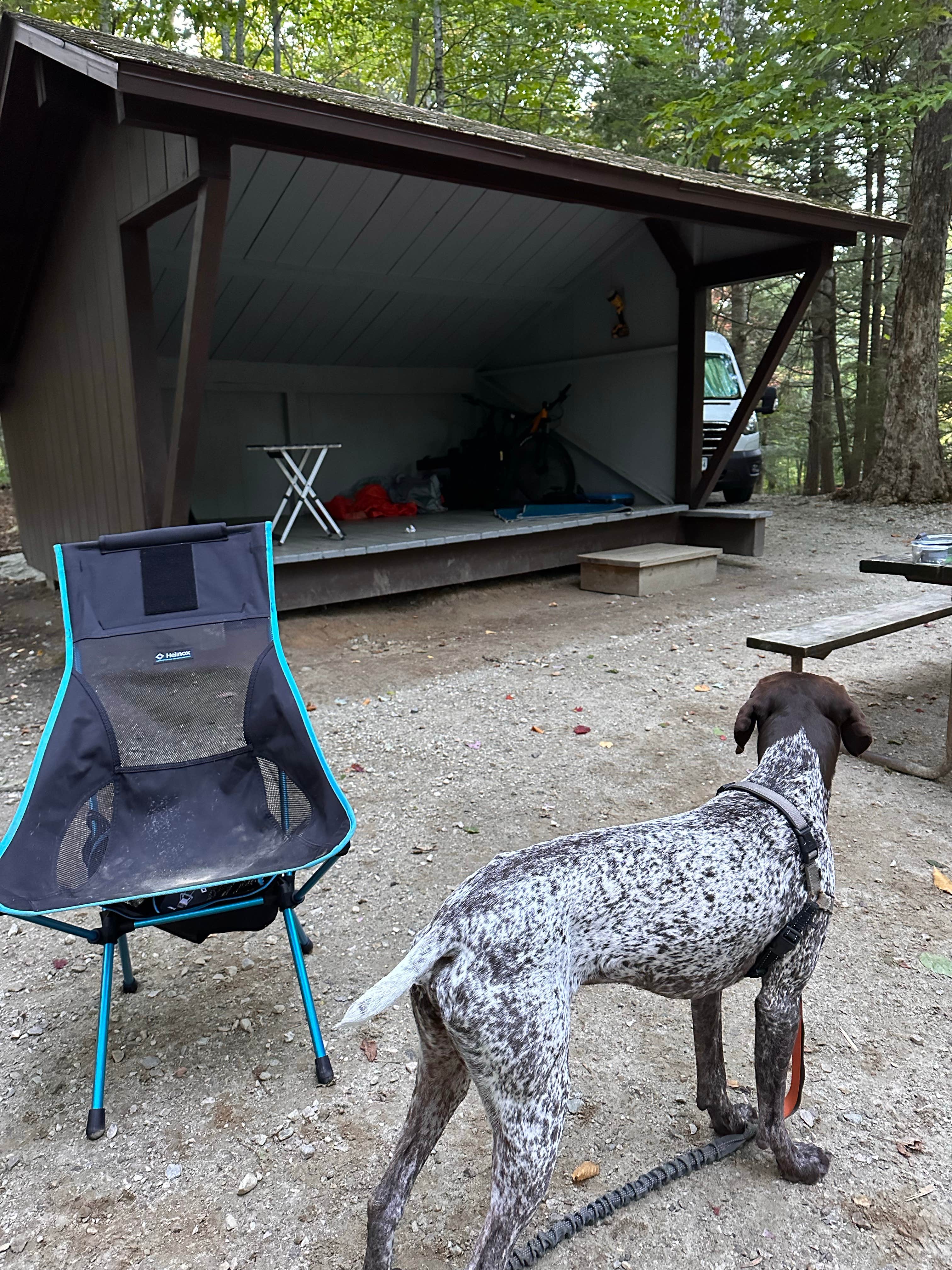 Katy Z.'s photo of camping with pets at Gifford Woods State Park Campground near Etna, NH