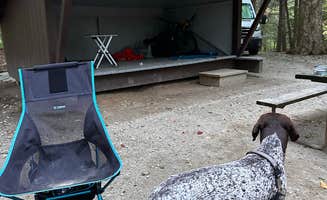 Katy Z.'s photo of camping with pets at Gifford Woods State Park Campground near Ludlow, VT