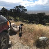 Review photo of Pinon Flats Campground — Great Sand Dunes National Park by Sleam L., September 26, 2022