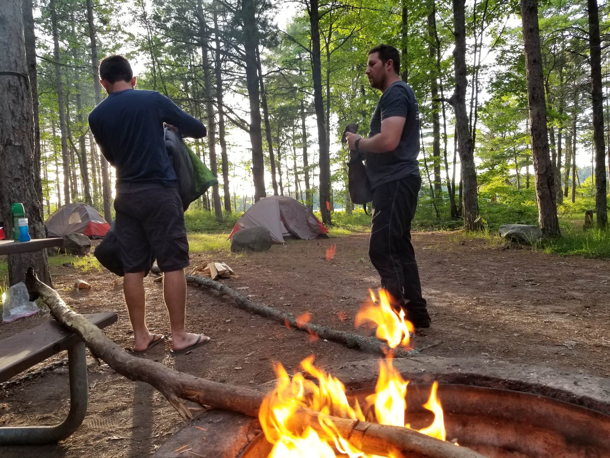 Camper submitted image from Andrus Lake State Forest Campground - 3