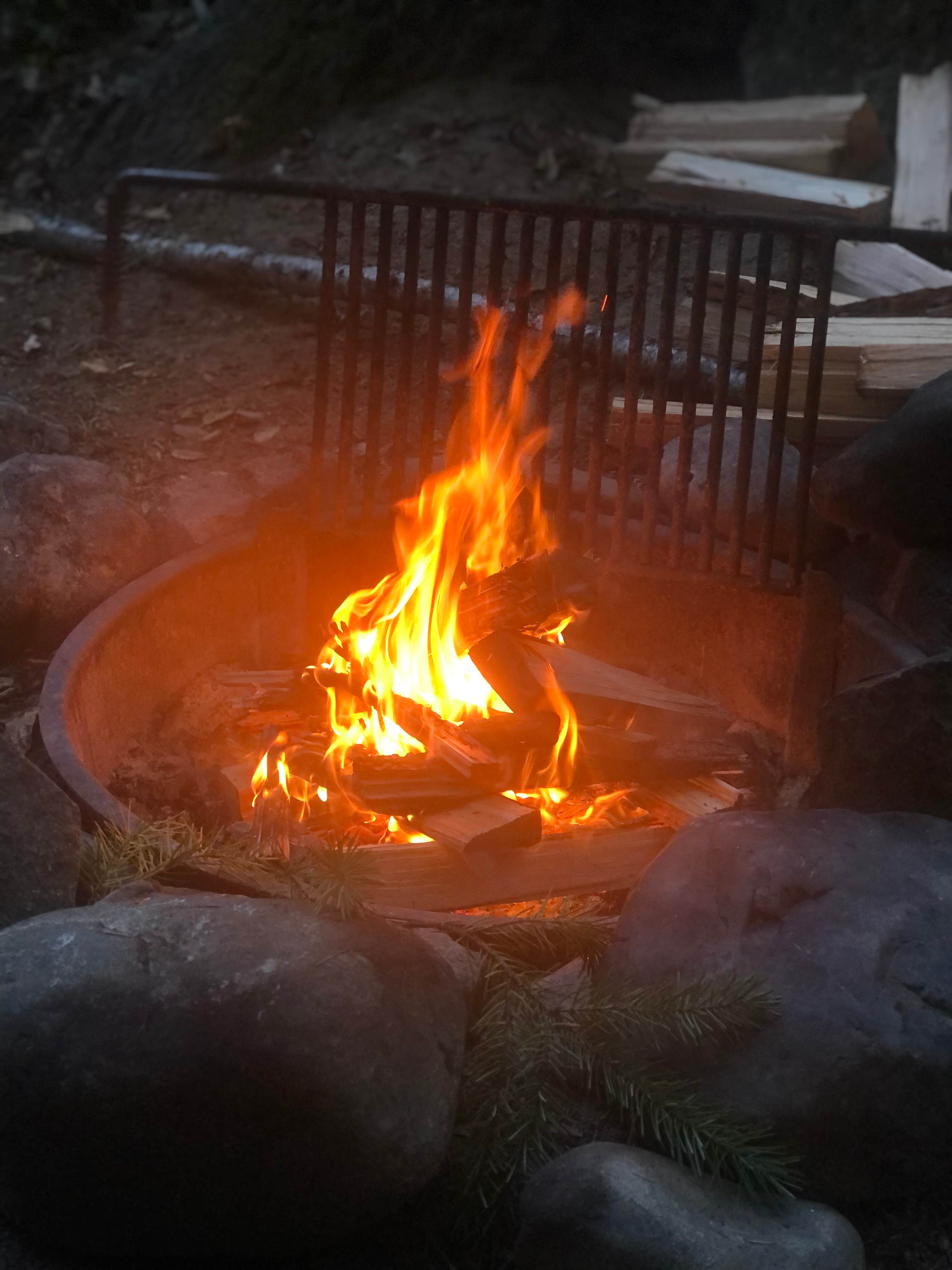 Camping near Bolan Lake Campground: Grayback Campground, Cave Junction, Oregon