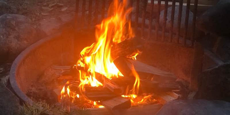 Camper submitted image from Grayback Campground