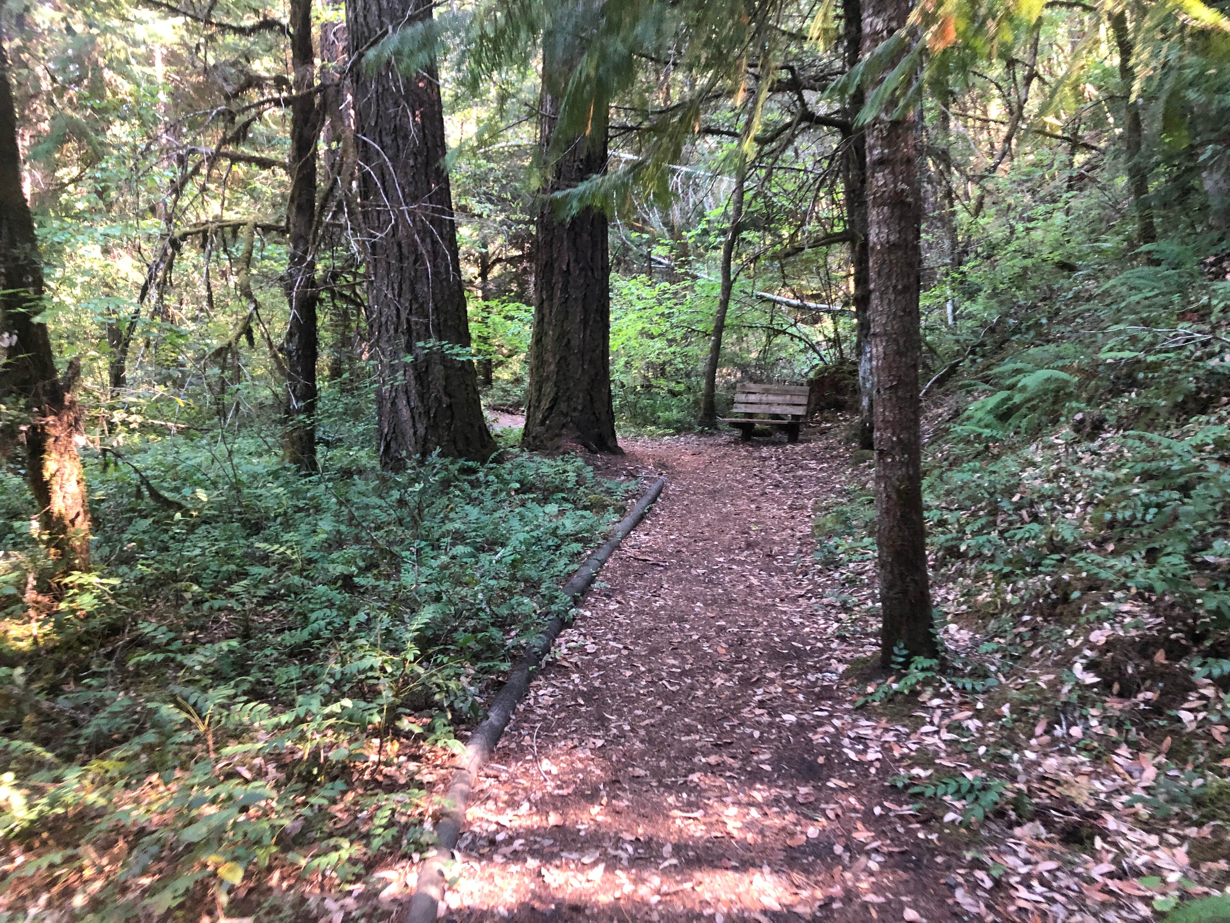 Camper-submitted photo at Grayback Campground near Murphy, OR
