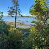 Review photo of Mt Desert Narrows Camping Resort by Nancy , September 26, 2022