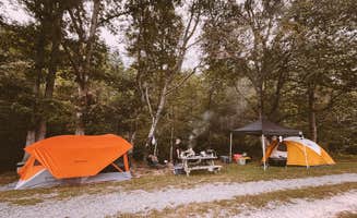Christina B.'s photo at Cedar Rock Campground near Sparta, NC