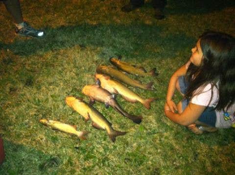 Camper-submitted photo at Mac Finn's Landing near Bourbonnais, IL