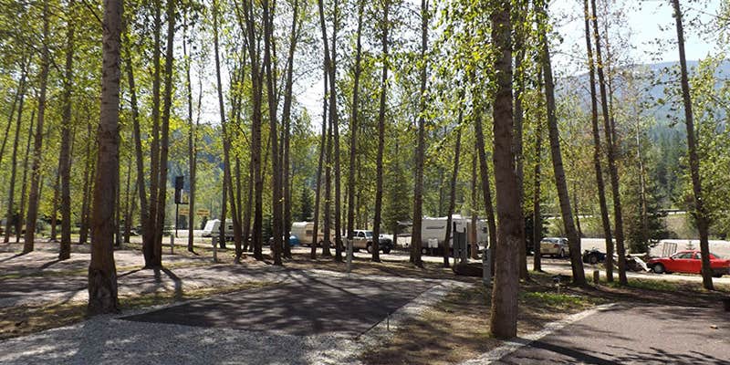 Camper submitted image from Crystal Gold Mine