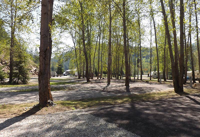 Camper-submitted photo at Crystal Gold Mine near Wallace, ID