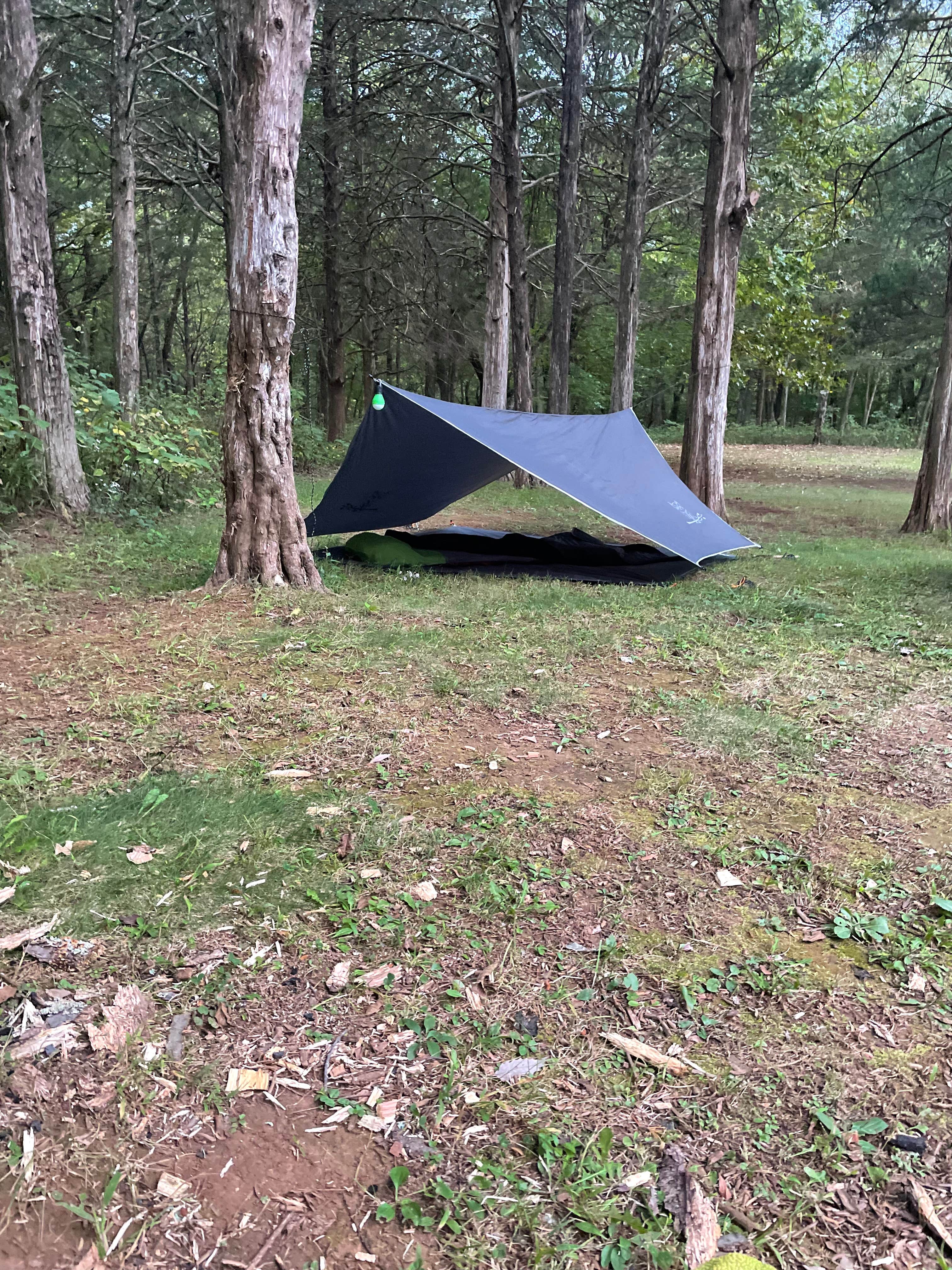 Michael  M.'s photo at St. Francois State Park Campground near Festus, MO