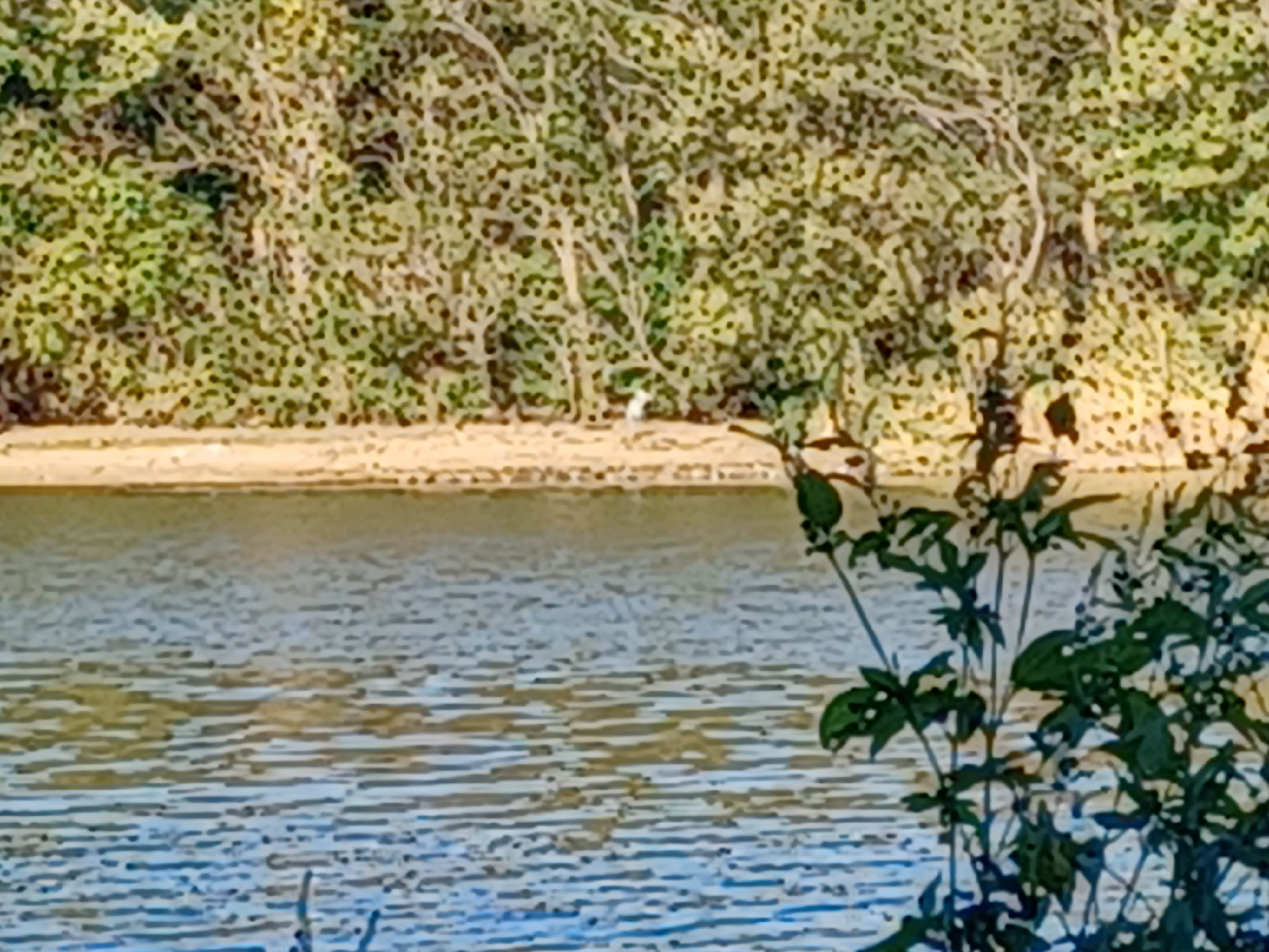 Camper submitted image from McPherson State Fishing Lake - 3