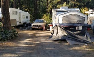 Camping near Leavenworth-Pine Village KOA: Blu-Shastin RV Park, Dryden, Washington