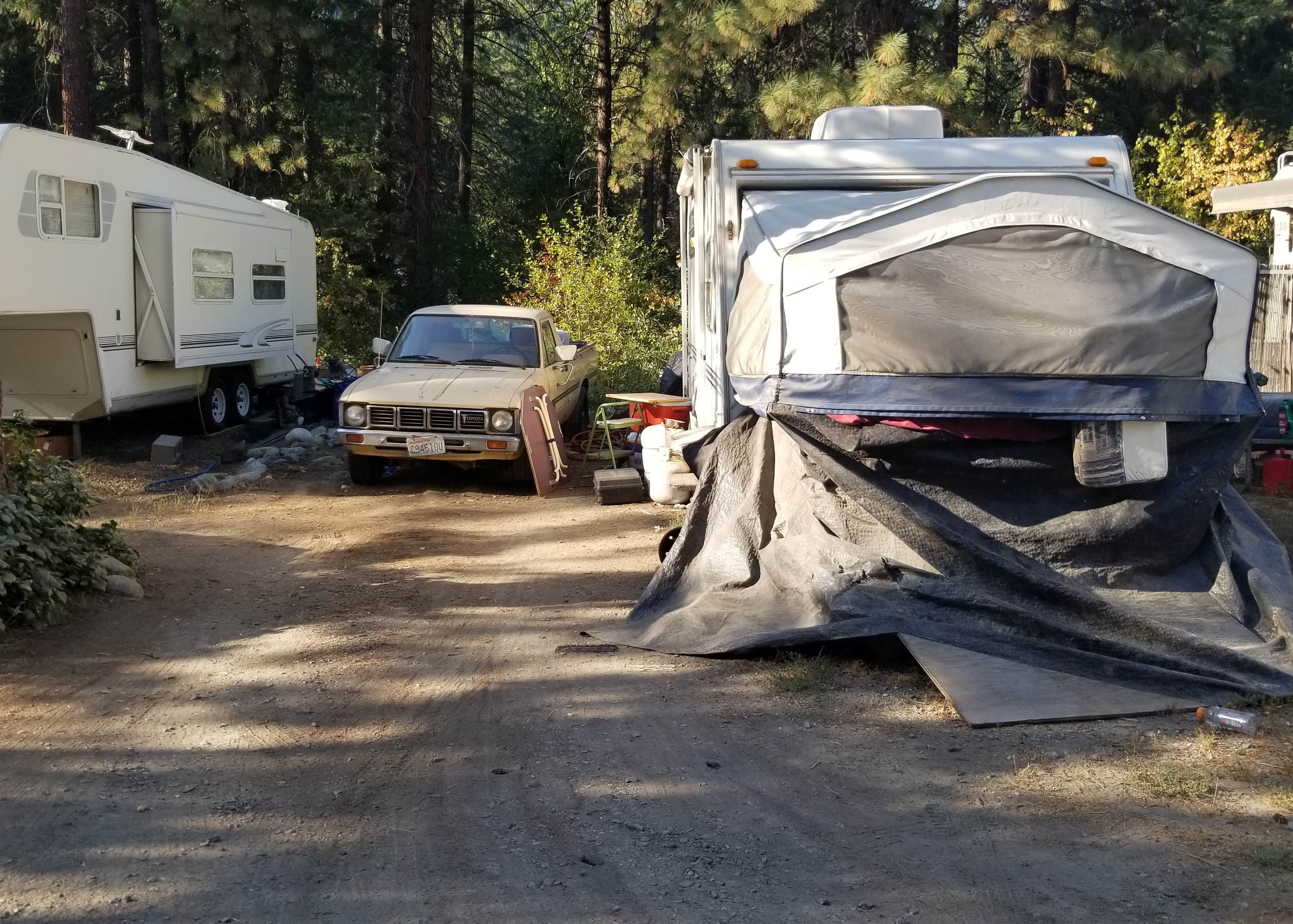 BluShastin RV Park Camping The Dyrt