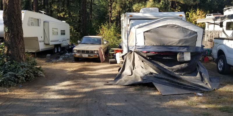 Camper submitted image from Blu-Shastin RV Park
