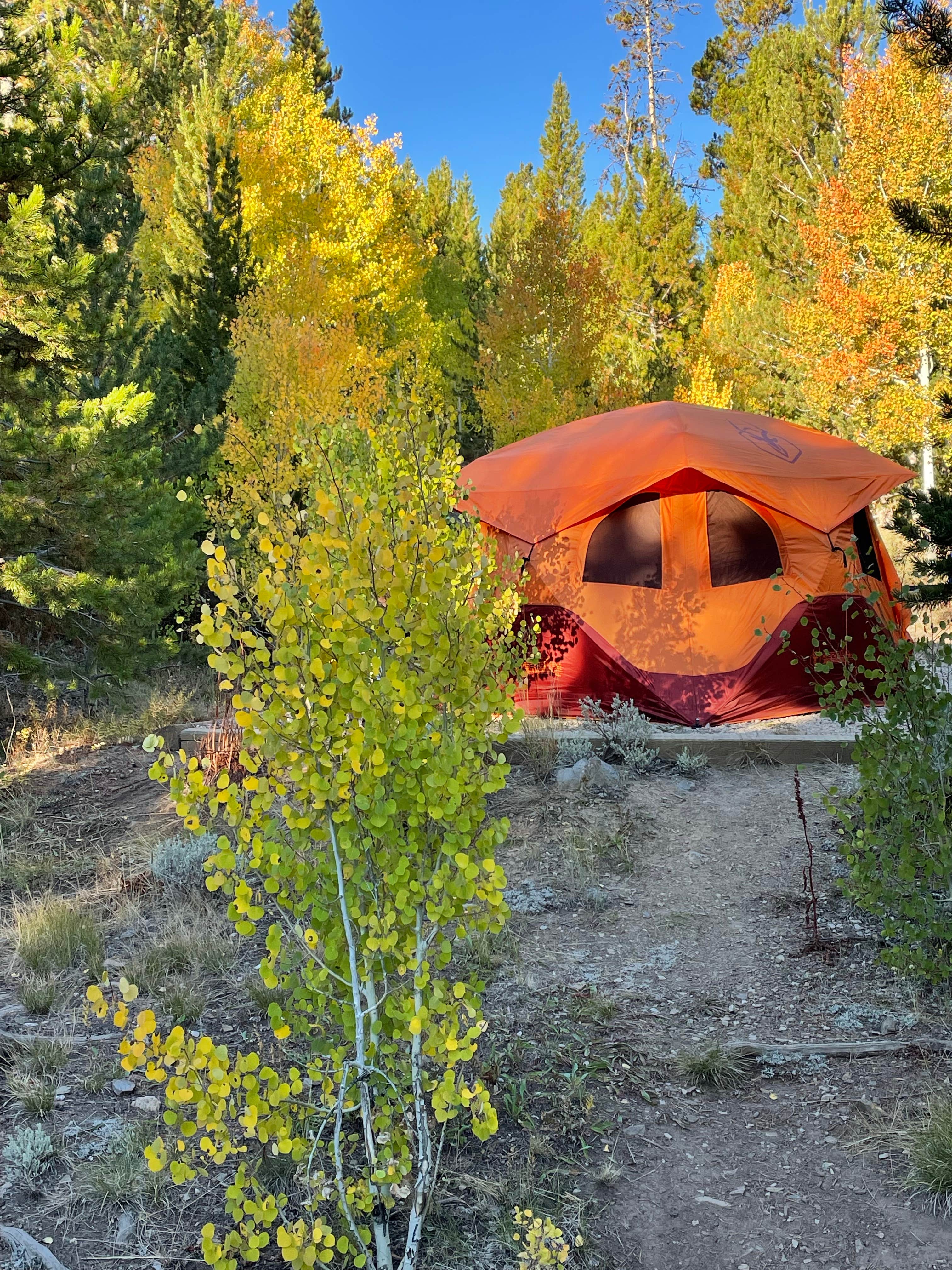 Camper submitted image from Atlantic City Campground — Bureau Of Land Management - 4