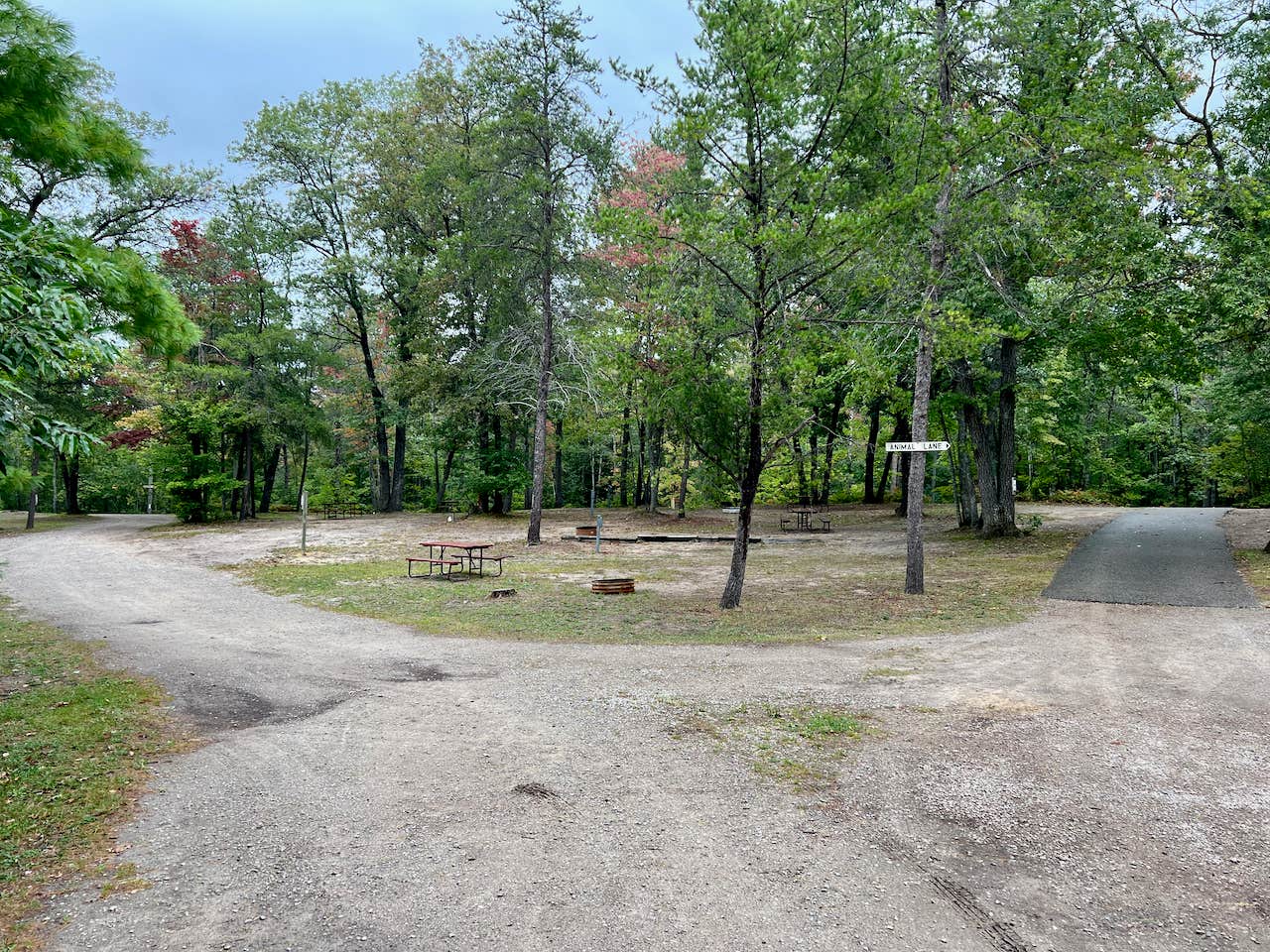 Camper submitted image from Twin Bears Wooded Campground - 2
