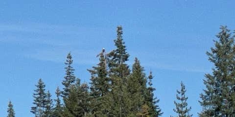 Camper submitted image from Deep Creek