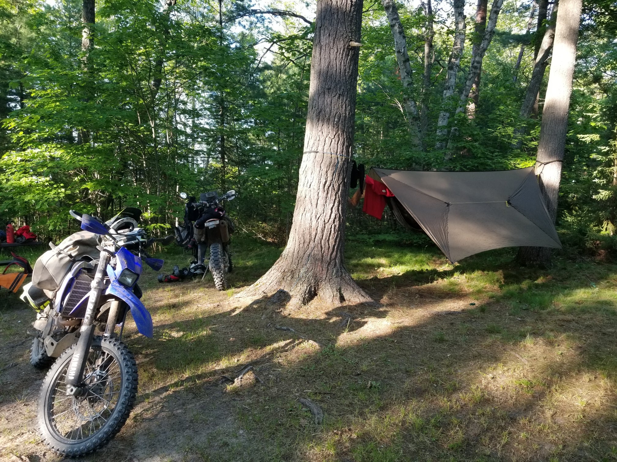 Camper submitted image from Lake Superior State Forest Campground - 5