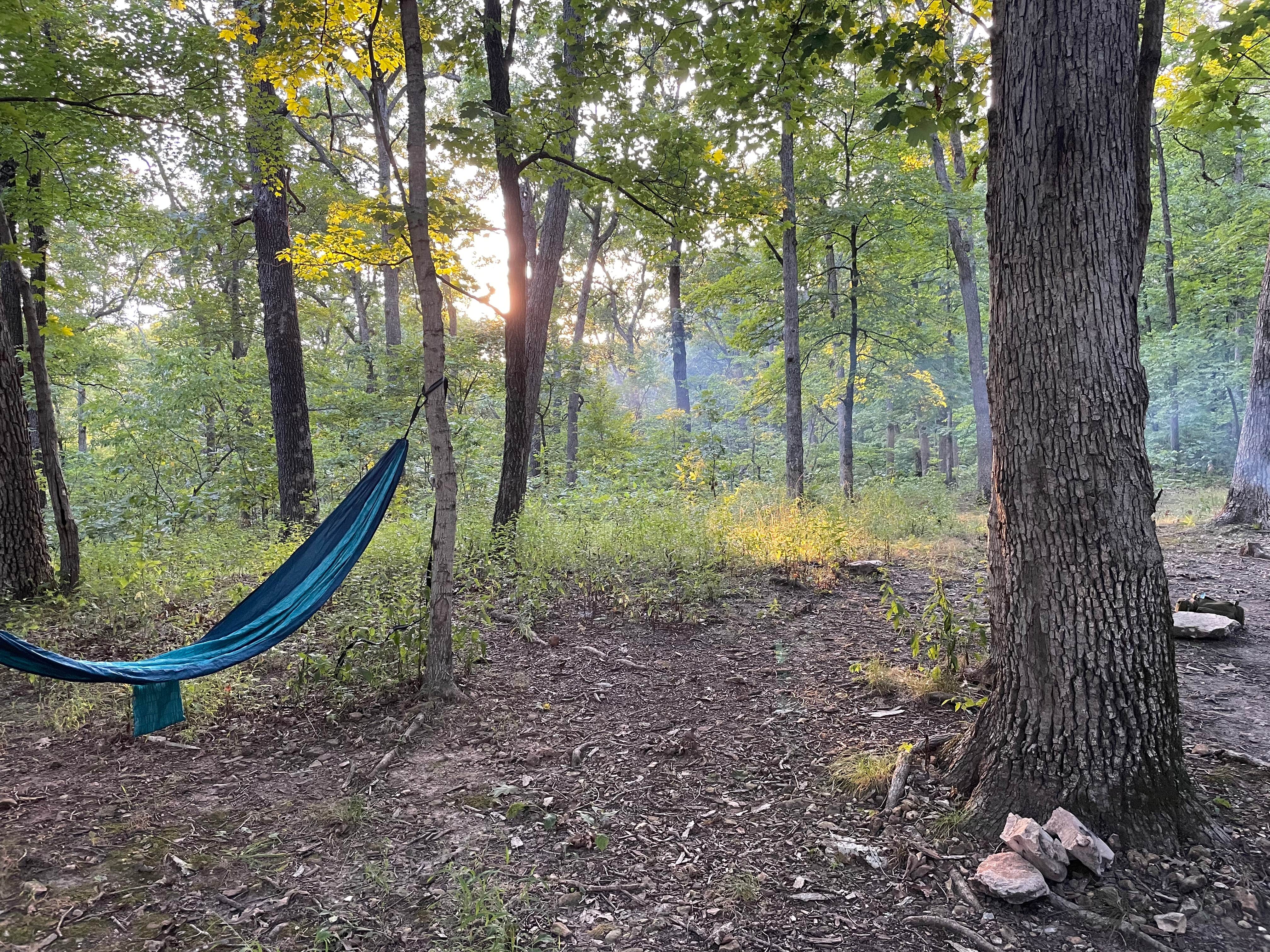 Lone Spring Trail Backpacking Campsite(s)