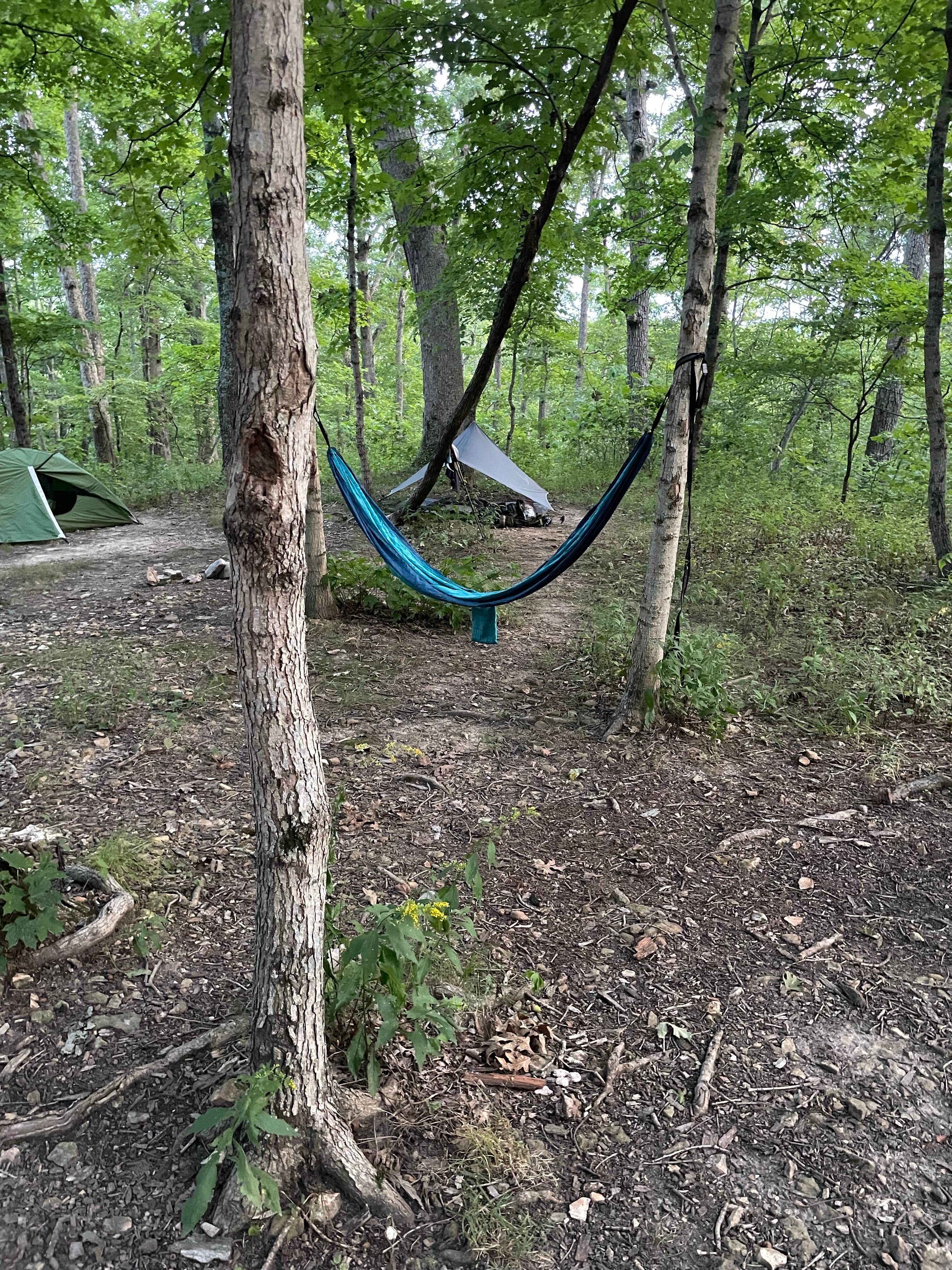 Camper-submitted photo at Lone Spring Trail Backpacking Campsite(s) near High Ridge, MO