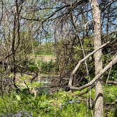 Review photo of Boulder Lake Campground — Wakonda State Park by Michael  M., September 27, 2022