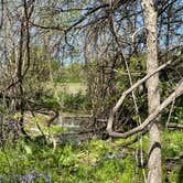 Review photo of Boulder Lake Campground — Wakonda State Park by Michael  M., September 27, 2022