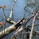 Review photo of Boulder Lake Campground — Wakonda State Park by Michael  M., September 27, 2022