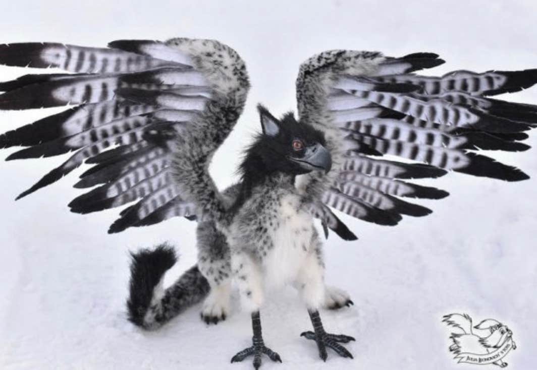 Jason G.'s photo of camping with pets at The Sanctuary near Anderson, SC