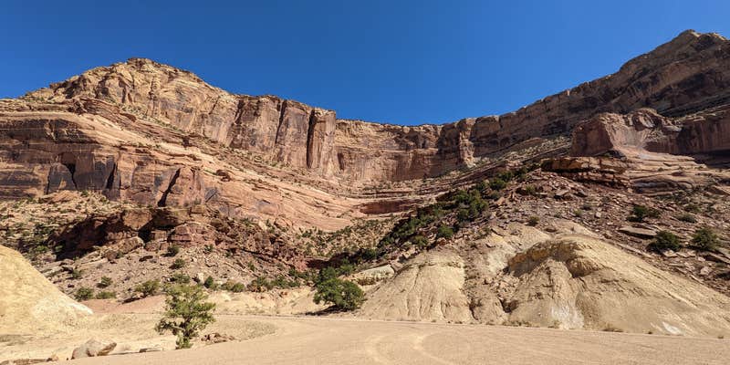 Camper submitted image from Buckhorn Draw Campsites 30-32