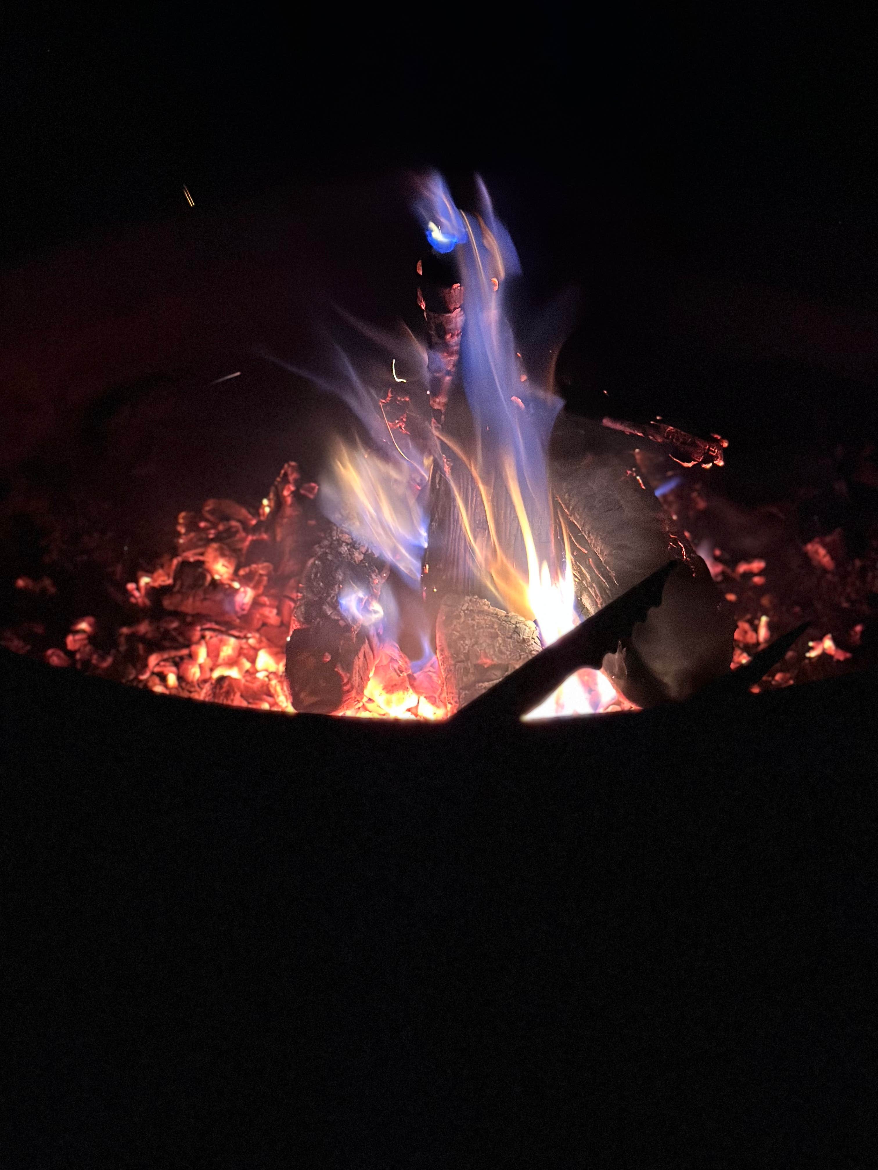 Camper-submitted photo at J.W. Wells State Park Campground near Sister Bay, WI