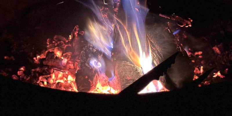 Camper submitted image from J.W. Wells State Park Campground