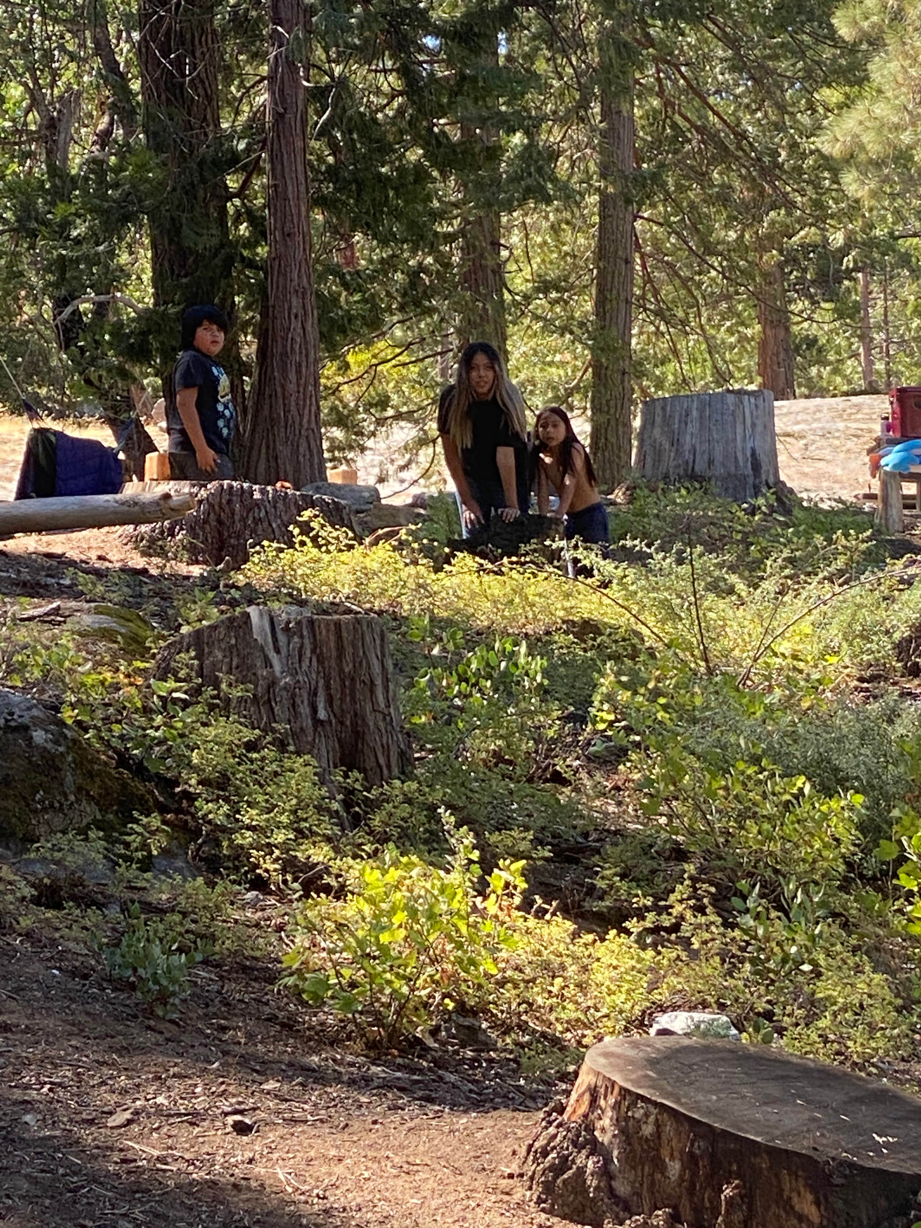 Diana M.'s photo at Dorabelle Campground near Big Creek, CA