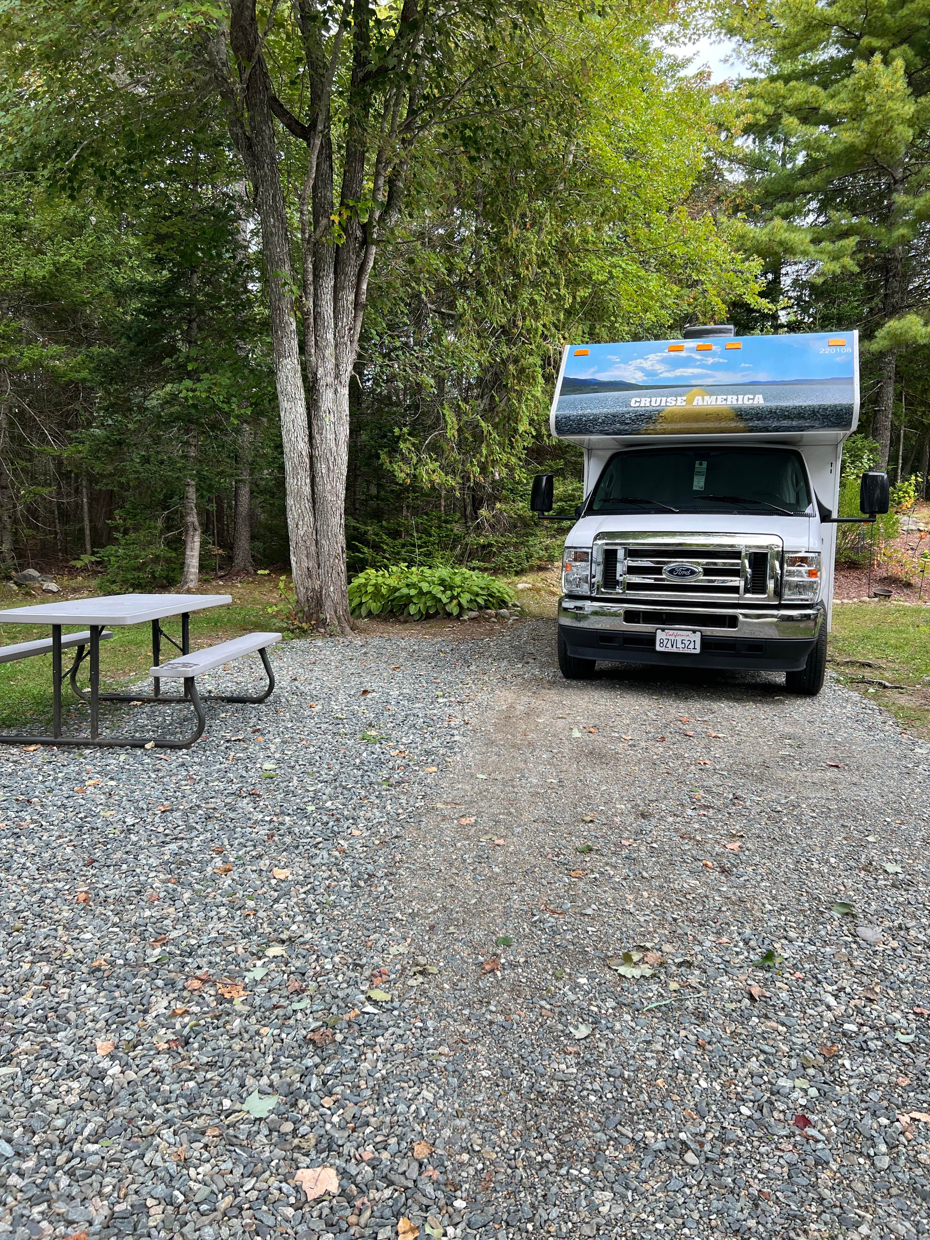 Escape to the Maine Woods: Your Guide to Timberland Acres RV Park