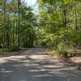 Review photo of Rocky Gap State Park Campground by Rick G., September 27, 2022