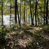 Review photo of Rocky Gap State Park Campground by Rick G., September 27, 2022