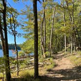 Review photo of Rocky Gap State Park Campground by Rick G., September 27, 2022